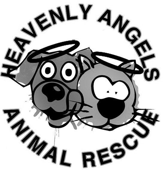 Heavenly Angels Animal Rescue