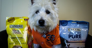 PrestonSpeaks.com review Canidae Dog Treats