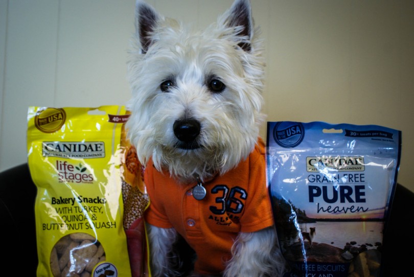 PrestonSpeaks.com review Canidae Dog Treats