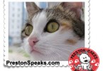 Preston Cares Network Adoptable Animals