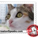 Preston Cares Network Adoptable Animals