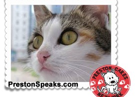 Preston Cares Network Adoptable Animals