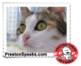 Preston Cares Network Adoptable Animals