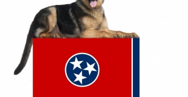 Middle Tenn German Shepherd Rescue - PrestonSpeaks.com