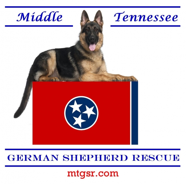 Middle Tenn German Shepherd Rescue - PrestonSpeaks.com