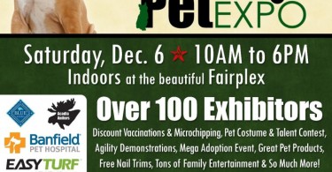 Holiday Pet Expo Flyer - Preston Speaks