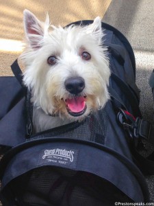 Preston in his carrier PrestonSpeaks.com