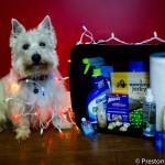 Puppy survival kit - PrestonSpeaks.com