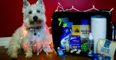 Puppy survival kit - PrestonSpeaks.com