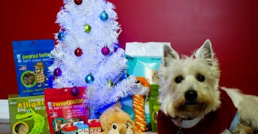Delca pet toys and treats giveaway - PrestonSpeaks.com
