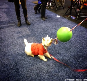 2015 Global Pet Expo - PrestonSpeaks.com