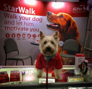 Prestson at the StarWalk Global Pet Expo Booth