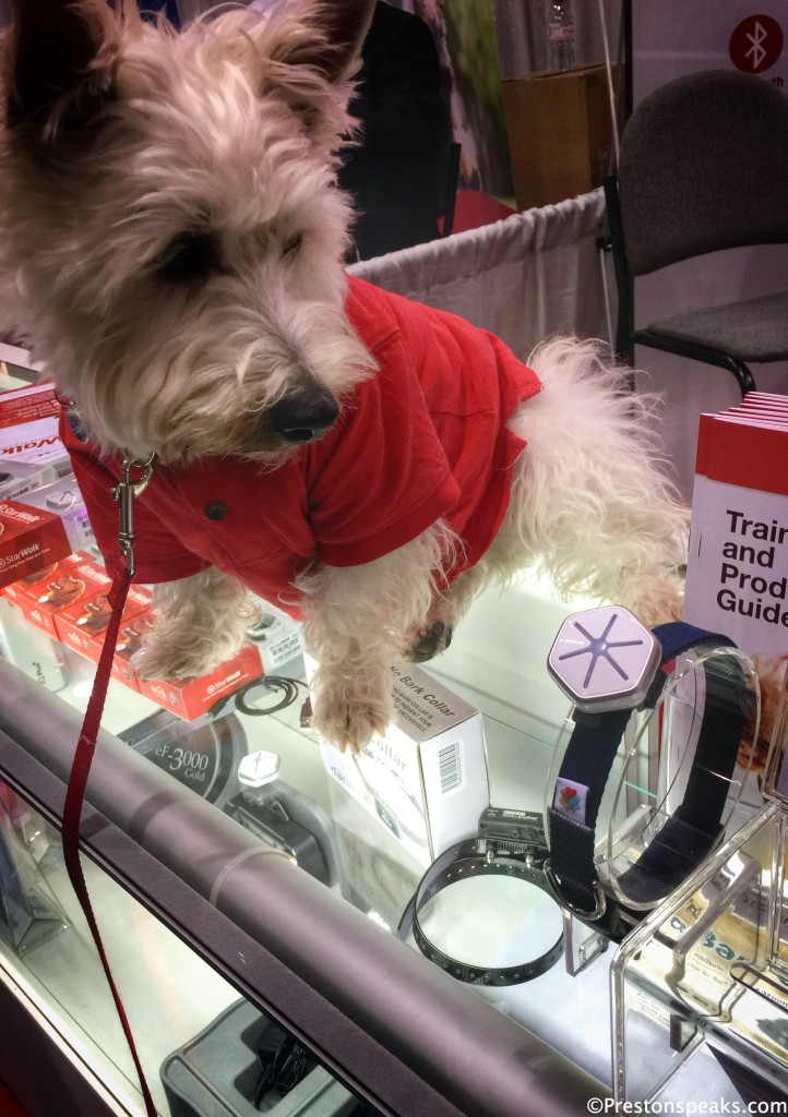 Prestson at the StarWalk Global Pet Expo Booth