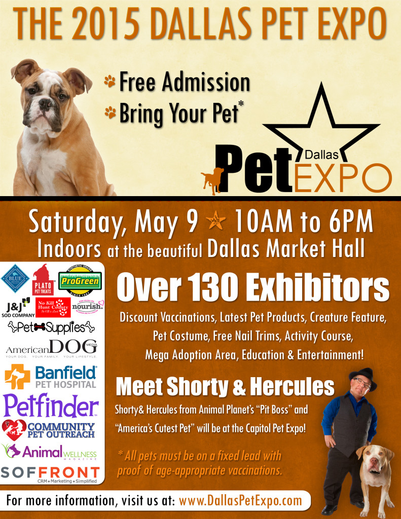 2015 Dallas flyer