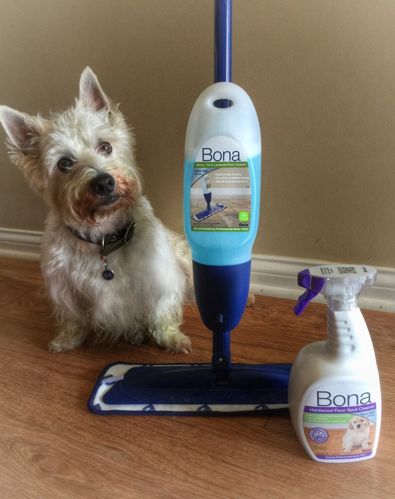 Bona Laminate Floor Mop Review and Sweepstakes