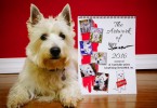 2016 WestieMed Fundraising Calendar - PrestonSpeaks.com