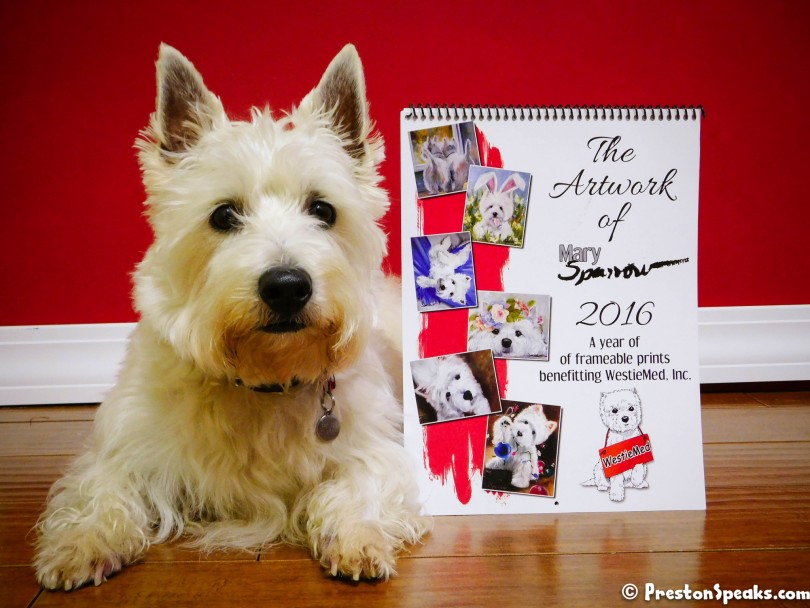 2016 WestieMed Fundraising Calendar - PrestonSpeaks.com