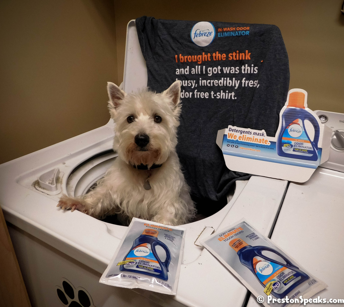 odor eliminator febreze