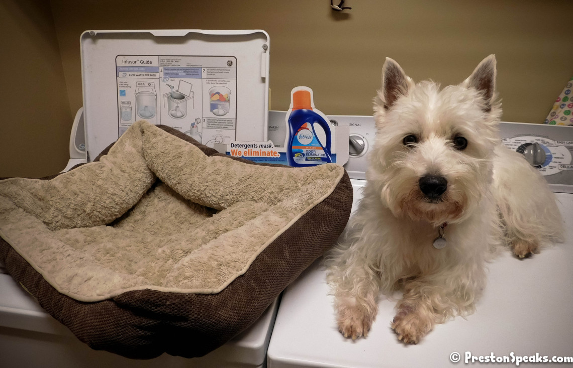 Febreze InWash Odor Eliminator Takes on Dog Odor