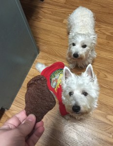 Preston and Daisy with Vera Treats