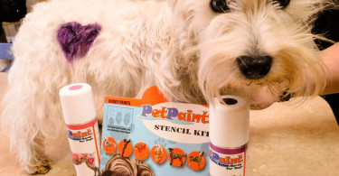 Pet Paint Product Review with PrestonSpeaks.com