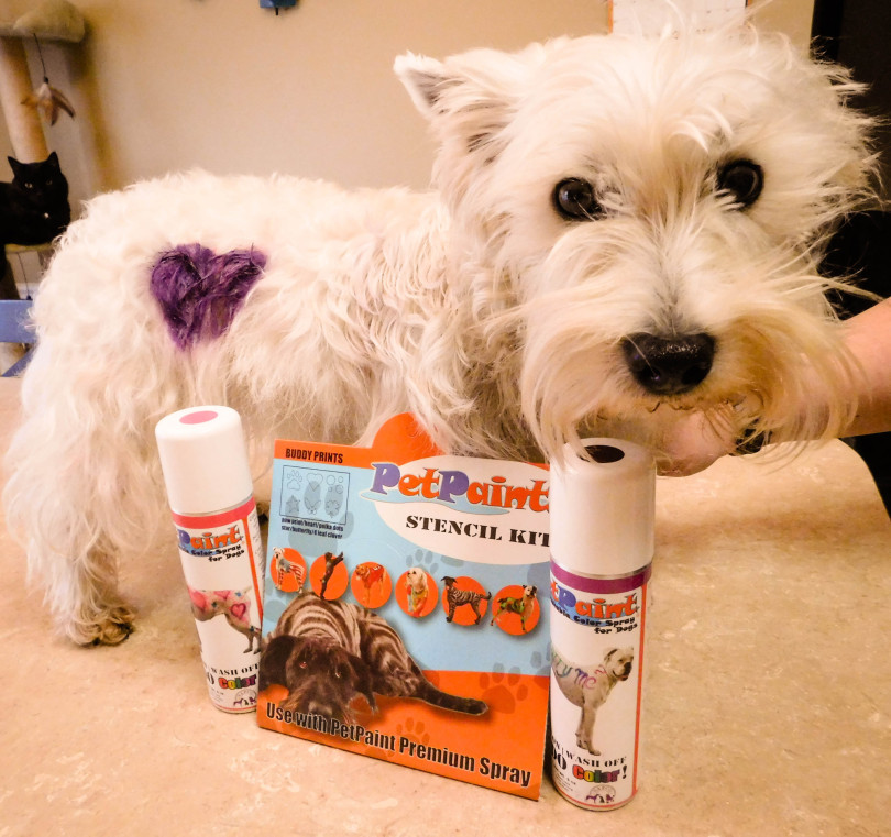 Pet Paint Product Review with PrestonSpeaks.com