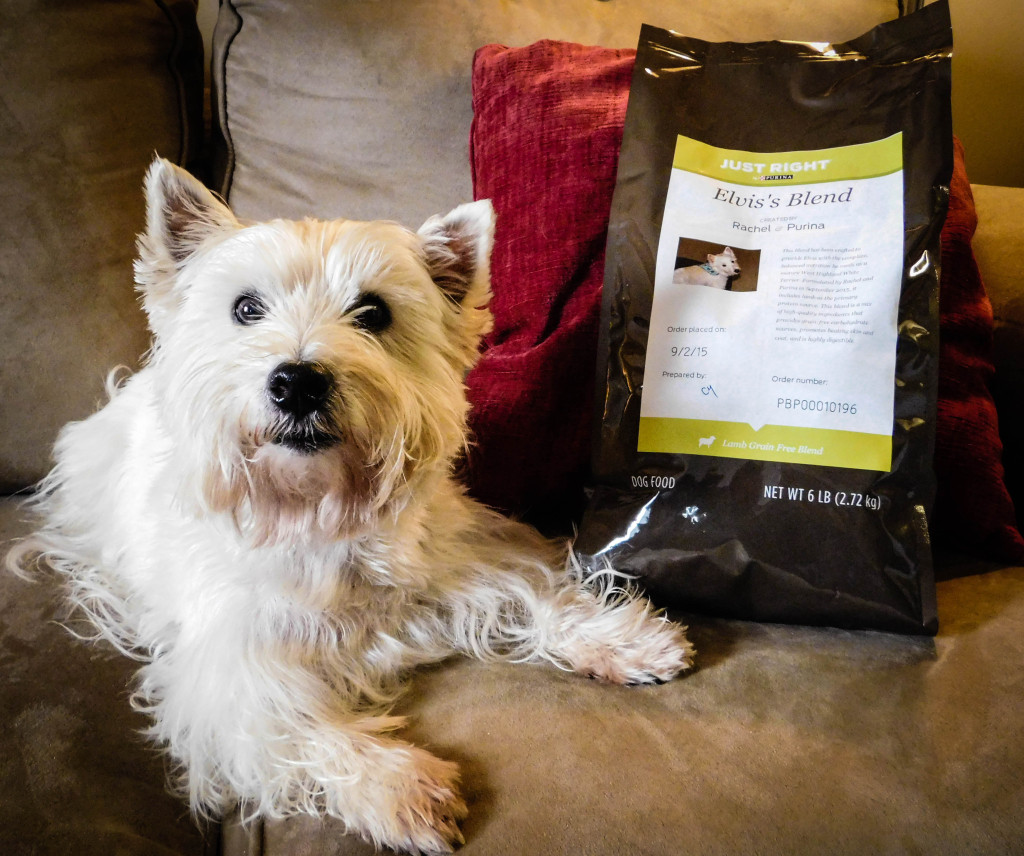 Allergy Elvis Tries Out Purina Just Right Dog Food PurinaPartners