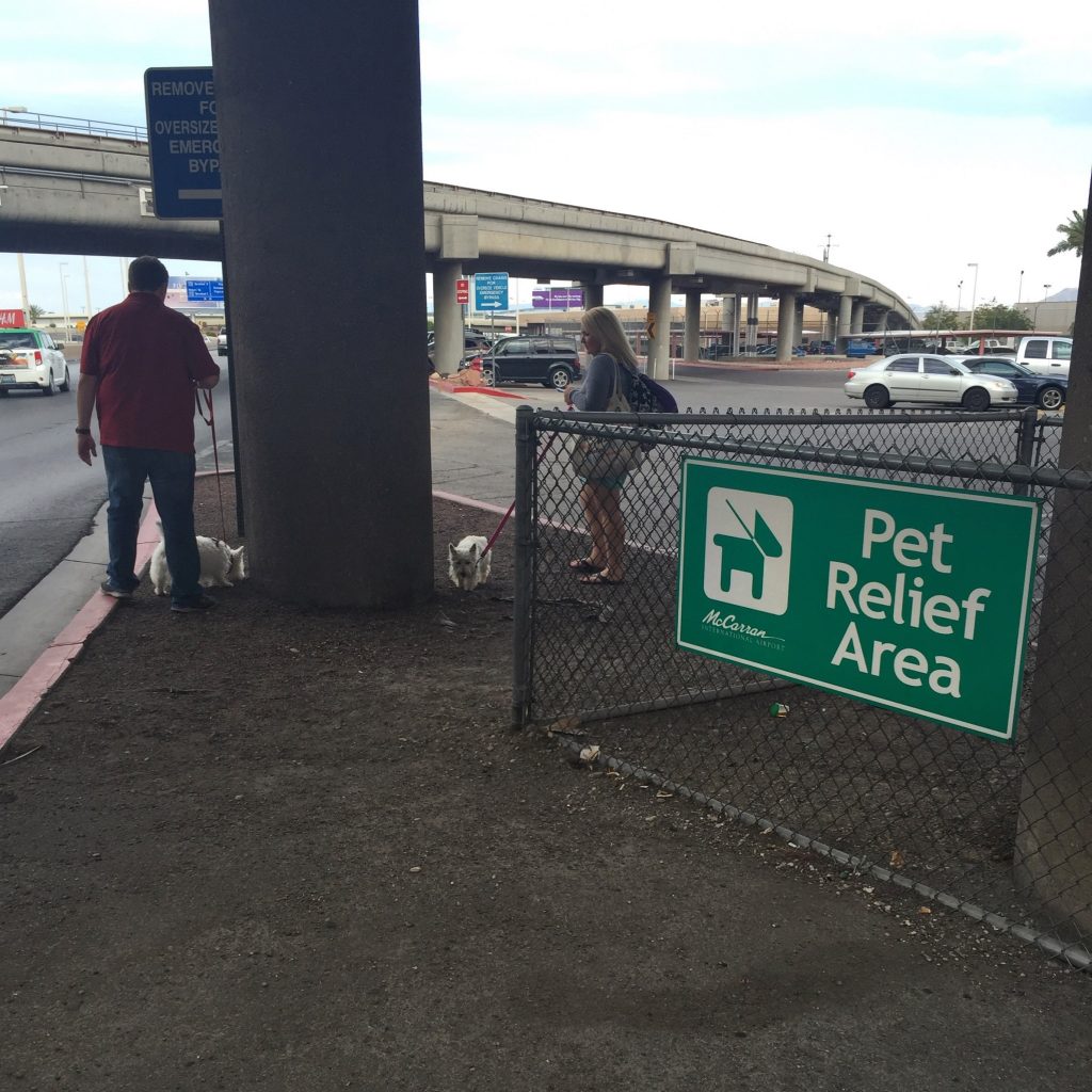 Airport dog relief areas - PrestonSpeaks.com