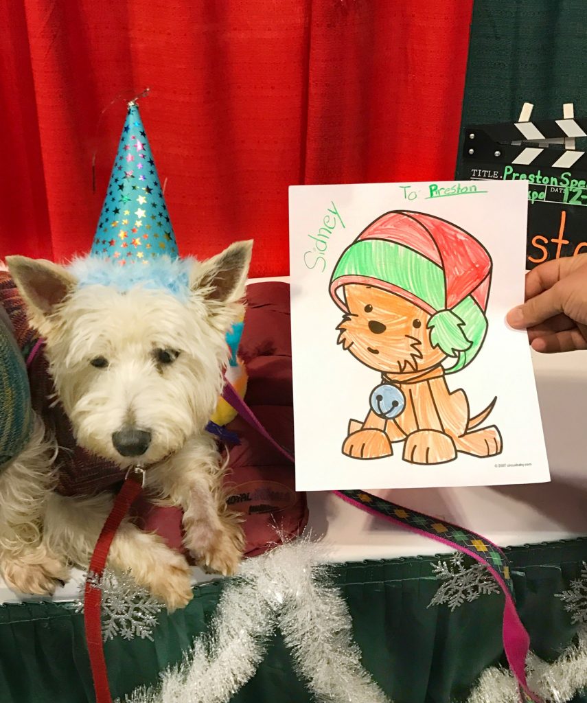 Preston's 8th Barkday party