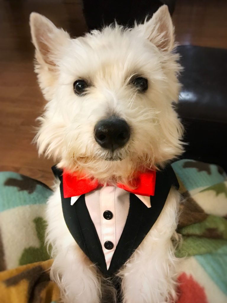 Preston in a tux - PrestonSpeaks.com