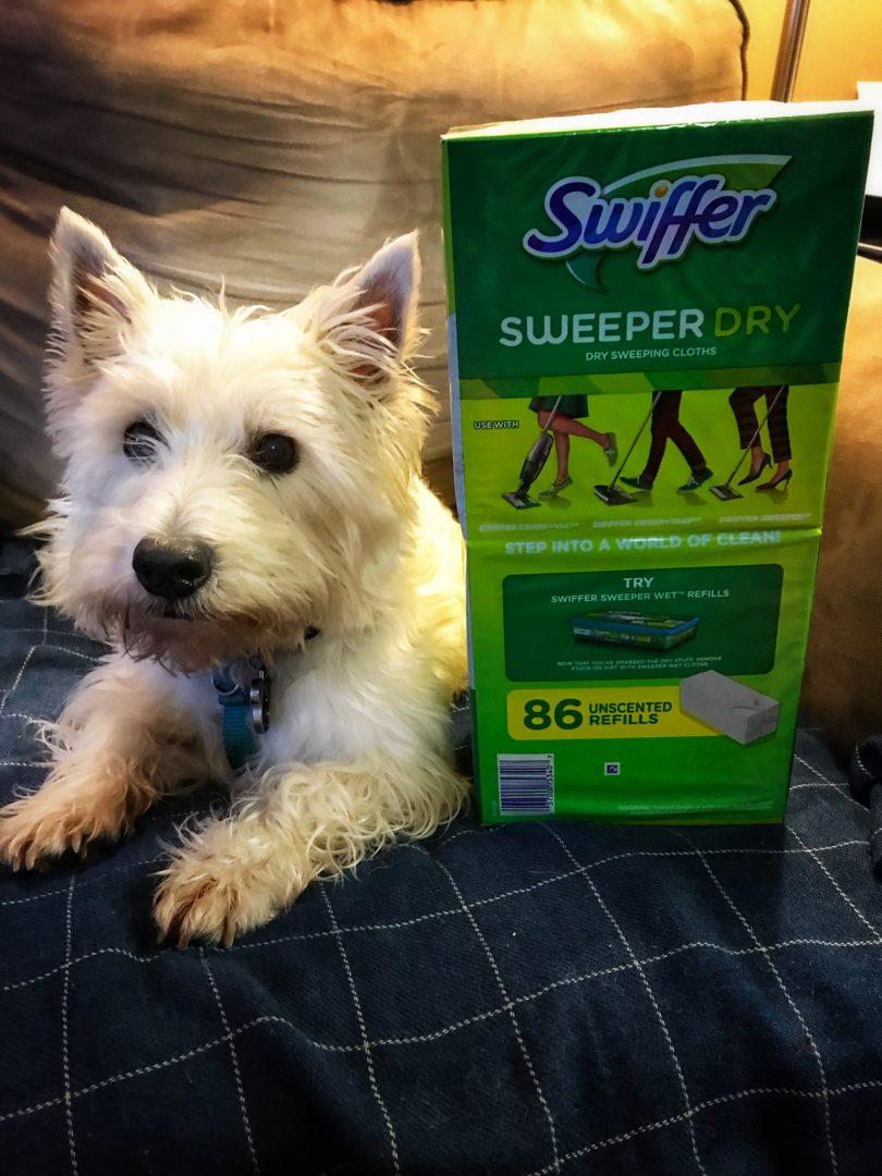 Swiffer Sweeper Dry Pads Make Puppy Cleanup Easy!