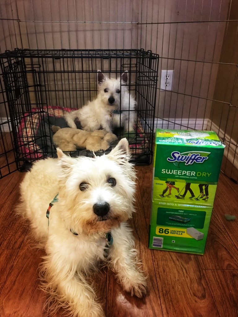 Piper and Preston - Swiffer Refill Pads