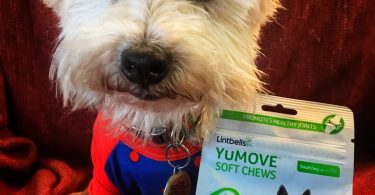 sam's club dog joint supplement