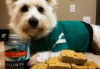 Evanger’s Salmon Pup Bars