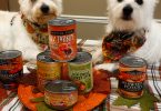 Dog Friendsgiving Celebration with Evangers