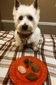 Dog Friendsgiving Celebration with Evangers