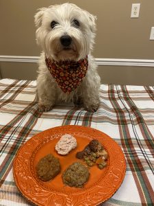 Dog Friendsgiving Celebration with Evangers